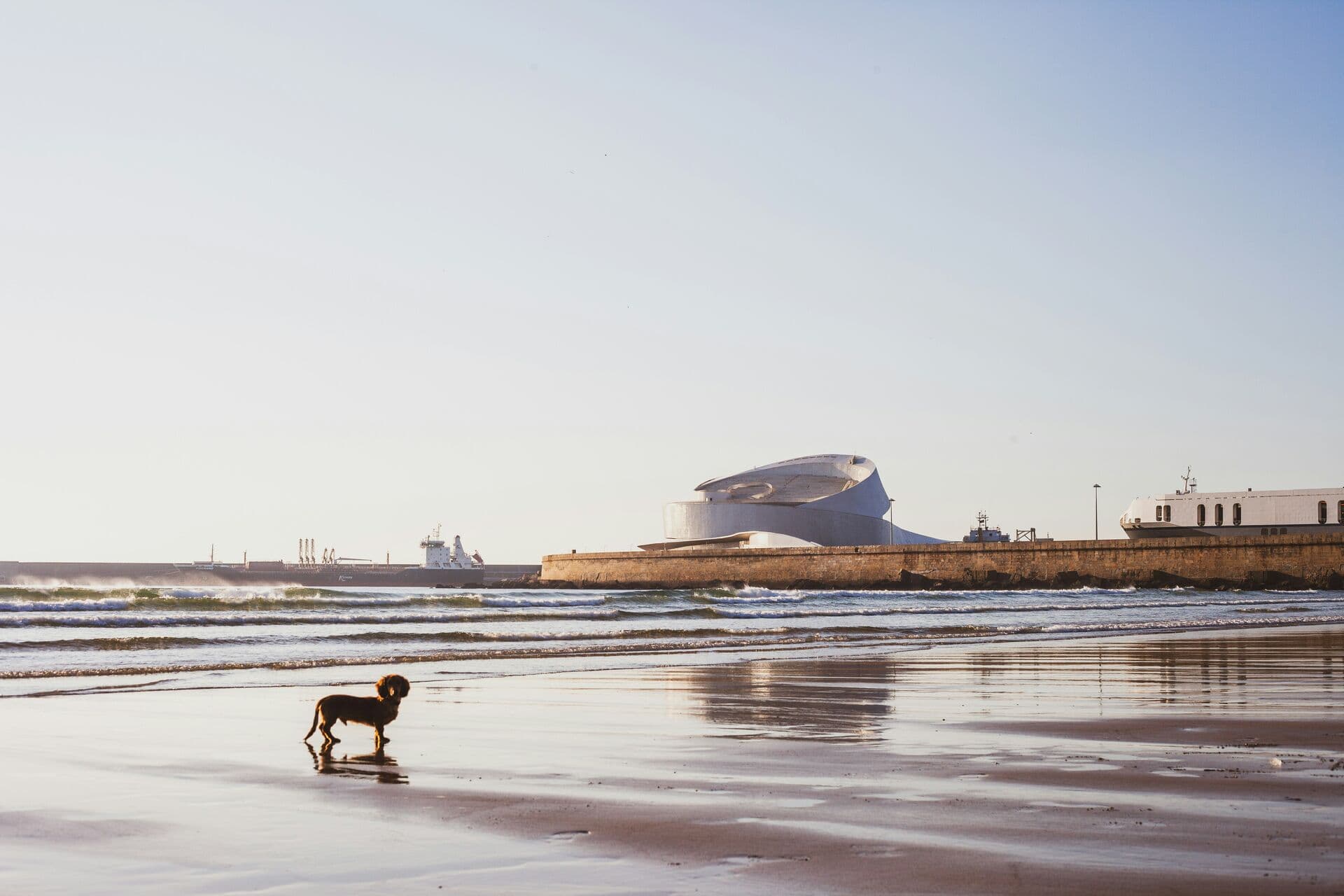 Praia de Matosinhos at golden hour, with the Leixões cruise terminal across the bay